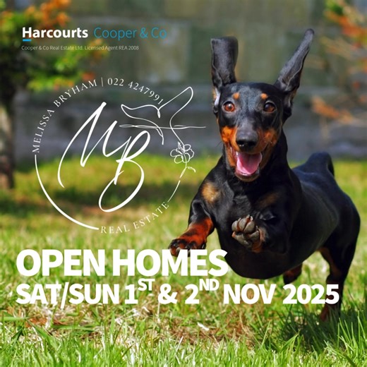 Melissa Bryham Harcourts - Hibiscus Coast Property on Reels