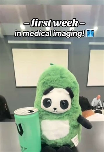 First Week Highlights in Medical Imaging Program