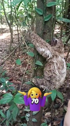 This giant tunnel wasn't made by humans, or little green men, or Goku.