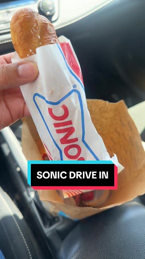 Sonic Drive-In Food Review: Trying Sonic's Popular Sides