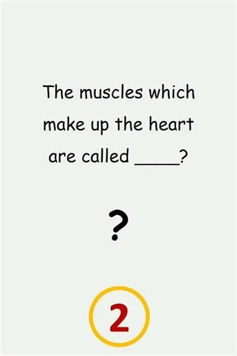 46 Quiz. Which muscles make up the heart?