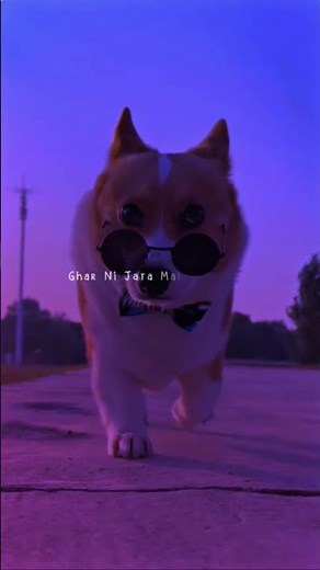 pal pal ~ talwinder 🥀💔 ||slowed + reverb lyrics status ✨ || #lyrics