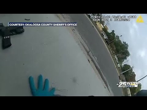 Florida deputy mistakes falling acorn for gunshot, fires into patrol car with Black man inside