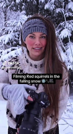 Captivating Wildlife: Red Squirrels in Falling Snow