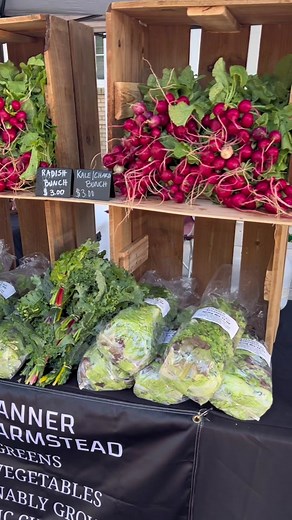 Organic Farmers Market Setup | Spring Mix Harvest