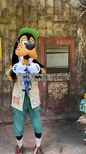 3.2K views · 40 reactions | Goofy spotted so many birdies today!...