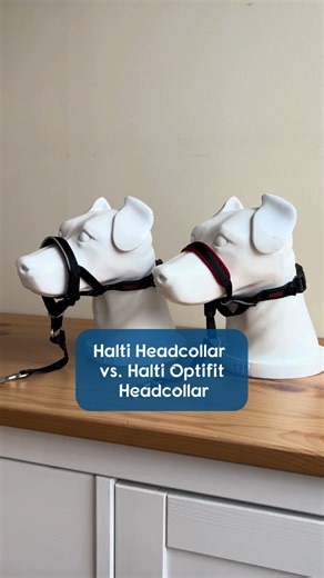 1K views · 52 reactions |  Halti Headcollar vs. Halti Optifit...