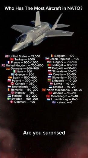 Who Has The Most Aircraft in NATO? ✈️🌍