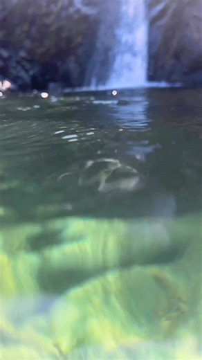 450K views · 1.4K reactions | This is your sign to swim in an Infinity Pool this weekend  | UK Hidden Gems | Facebook