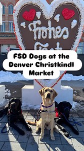 Join us for a @freedomservicedogs training outing at the @denverchristkindlmarket🎄🎁 #holiday #december #christkindl #denver #colorado #frosty #denverchristkindlmarket #servicedog #assistancedog #therapydog #dogs #dogtraining #freedom | Freedom Service Dogs