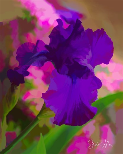 Purple Iris Flower Art Print: Tennessee State Flower - Etsy