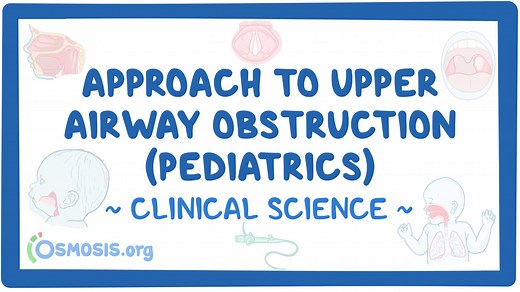 Approach to upper airway obstruction (pediatrics): Video & Meaning | Osmosis