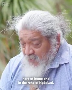 819K views · 12K reactions | After some inspiration to successfully live off of the land? There are not many other places in new Zealand that are more remote than Aotea Great Barrier Island ”Grandad always said, you gotta be a useless bugger if you go hungry here.” Kaitiaki o Aotea Rodney Ngawaka shows us what it takes to live on this off-the-grid island. Video Credit: @renewsnz #offgridlife #greenliving #aotea | Off-grid Collective | Facebook