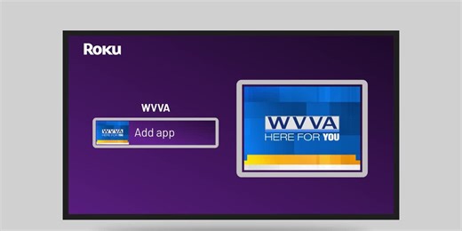 How to access the Roku Channel Store