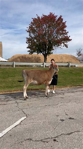 2.5K views | Nic Sauder on Reels | Facebook