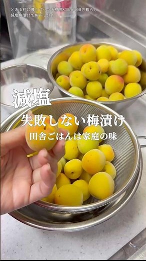 減塩梅漬け作り 梅干し カビない作り方