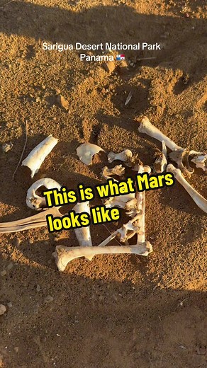 Exploring the Extraterrestrial Beauty of Sarigua Desert National Park, Panama