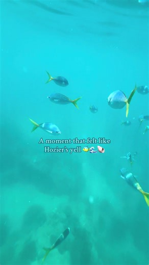 Exploring the Whitsundays: A Travel Experience