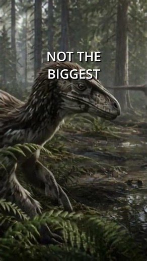 This Dinosaur Had a Terrible Claw #deinonychus #dinosaurfacts #thedinosaurdude