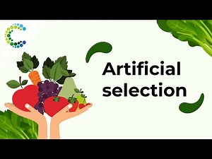 Artificial Selection