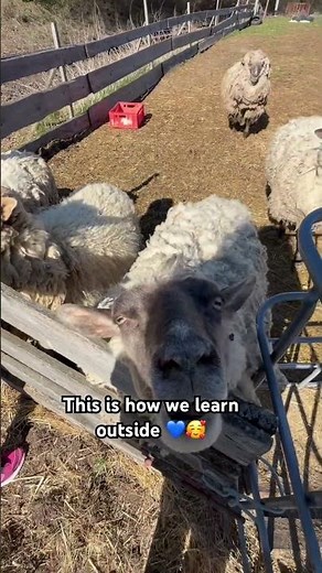Autism Homeschool 💙 Learning Through Real Life Farm Experience