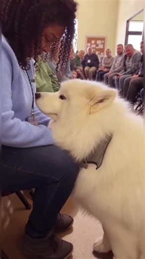 Heartwarming Dog Adoption Stories That Inspire