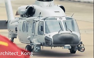 驻港部队的直10和直20——都是空军的飞机 就不能统一涂装吗