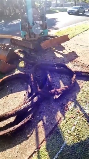 Turbo Plumbing on TikTok