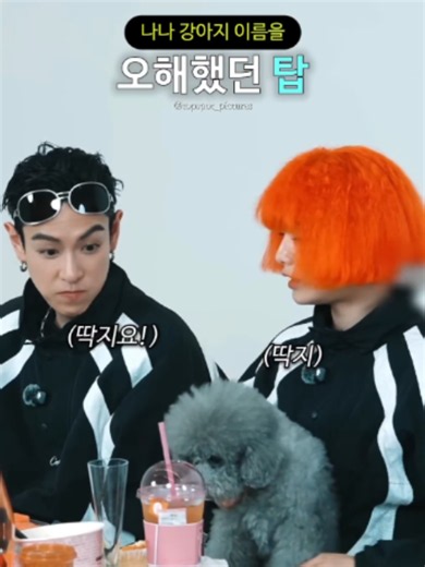 나나 강아지 이름을 오해했던 탑 #탑 #top #나나 영상출처 - YouTube 케이팝있쥬?