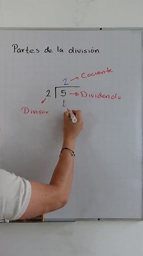 Partes de la División en Matemáticas
