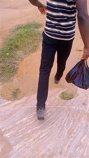 streetcode803 (@streetcode803)’s videos with Hosanna - Banzy Banero