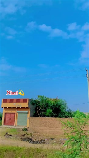 Niazi's Impactful Journey in the Digital Realm