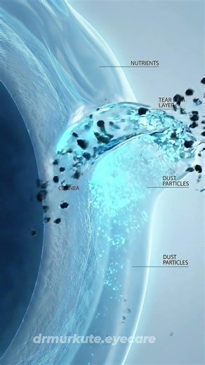 3 Layers That Protect Your Eyes | Explain by Dr Dipti Murkute