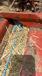 Hesston 4570 with an Oliver Knotter SAY WHAT?? | Baler Man