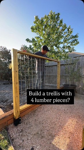 805K views · 16K reactions | Let me show you how to build a trellis...