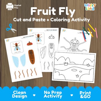 Fruit Fly Craft Cut and Paste & Coloring Pages | Insect Bug Nature Activity