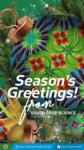 19K views · 383 reactions | From Bayer Crop Science Philippines family, Maligayang Pasko at Manigong Bagong Taon, mga ka-Bayer! May this season renew our hope and strengthen our bonds as partners in growth and progress. ✨ Cheers sa mas magandang ani at mas masaganang 2026! 壟 #Bayer #BCS #MerryChristmas #PaskongBayer | Bayer Crop Science Philippines | Facebook