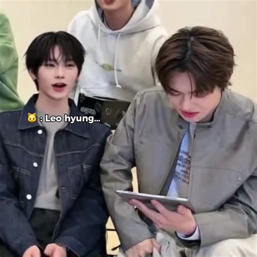 Leo and Anxin: Cute Cat Moments