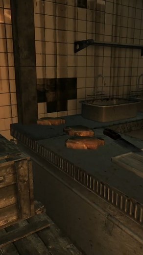 24K views · 677 reactions | You Can't Eat This Meat in Fallout: New Vegas | TKs-Mantis | Facebook