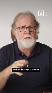 Darwin's hidden manuscript | Sean B. Carroll | Big Think