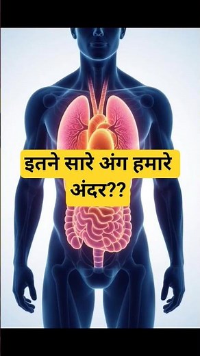 How Many Organs Are in the Human Body? | Amazing Science Facts