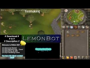 Old School Runescape BOT (RSBot2007) - DOWNLOAD [Lem0nBot]
