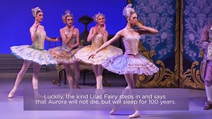 40K views · 1.8K reactions | A princess awakes in this classical...