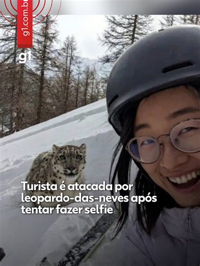 📍China - Uma turista foi atacada por um leopardo-das-neves em uma estação de esqui no noroeste da China após tentar tirar uma selfie com o animal. O caso ocorreu em 23 de janeiro e ganhou repercussão nos últimos dias. O ataque aconteceu quando a esquiadora descia uma pista no condado de Fuyun, na região de Xinjiang. Segundo a imprensa local, ela seguia em direção ao hotel quando o animal saltou de uma área de mata. Ainda de acordo com a mídia chinesa, a turista se aproximou para tirar foto, qua