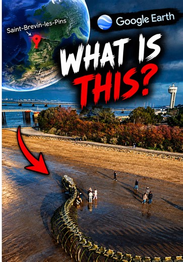 I Found Something Impossible on Google Earth — A Giant Skeleton