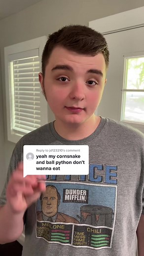 Troubleshooting Tips for Feeding Corn Snakes and Ball Pythons