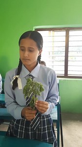 Grade 7 Science subject presentation clips... ## Scientific learning ## | Sayapatri Secondary English School
