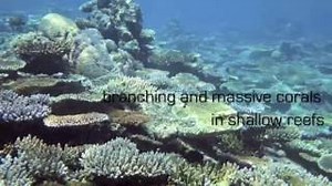 Geophysical Mapping | geoocelab