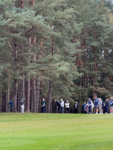 Peter Finch Golf on Reels