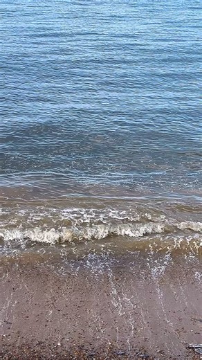 Beauty spots, seaside walks and quality family time. Felixstowe is the perfect place to enjoy your free time and unwind. 🌊🌴🚢 🏗️ #seasidetown #lovefelixstowe #visitfelixstowe #placestovisituk #suffolkcoast | Visit Felixstowe